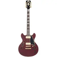 D'angelico Deluxe Mini DC Stopbar Trans Wine guitare semi-hollow body avec étui