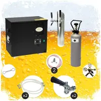 Ich-zapfe Tireuse à bière AS-40 sous-comptoir 2 voies Green Line immersion 40 L/h