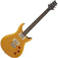 Paul Reed Smith PRS SE DGT Gold Top (2026)