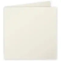 Pollen Clairefontaine Pollen - Papier - gris perle - 135 x 135 mm - 210 g/m² - 25 feuille(s) cartes de visite pliées