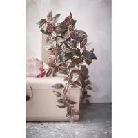 Mica Decorations Tradescantia Plante Artificielle Suspendue - L15 x L20 x H54 cm - Bordeaux