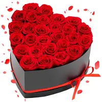 Vevor Rose Éternelle 27 Fleurs Éternelles Préservées Boîte en Cœur