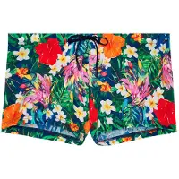 Hom Boxer de bain