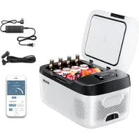 Vevor Glacière Électrique à Compression de Voiture 15 L