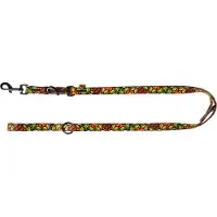 Dingo Sp. z .o.o. Collier Dingo City Dubai à maillons interchangeables, 2,0 x 220 cm