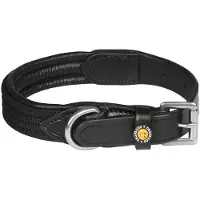 Equestro Web Dog Collar Noir XS