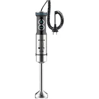 Gehendes Küken Mixeur Plongeant Premium Acier Inoxydable 1200w
