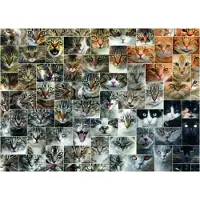 Puzzles DToy Puzzle Collage - Chats - 1000 pièces