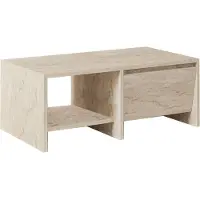 Skye Decor Laris Coffee Table (90 x 90 x 35 cm)