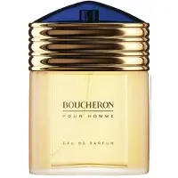 Boucheron Parfum Homme - Eau de Parfum - 100 ml - Fraîche et Aromatique