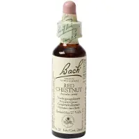 Bach Elixirs Flower Alezan brûlé 20 ml