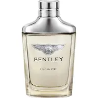Bentley Infinite Eau de Toilette 100 ml - Masculin, élégant et moderne