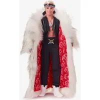 Barbie Ken Doll Rouge Enfants
