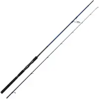 Westin Canne Spinning W8 Powerstick
