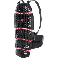 Dainese Pro-Armor Back Long 2.0 Black Taille XS-M