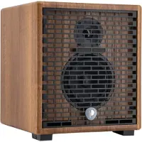 Prodipe Natural 5 V2 Walnut Wood ampli guitare acoustique