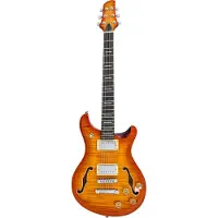Sire Q7 Hollow EN Amber Burst
