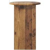 vidaXL Table d'appoint en bois recyclé Ø 39,5 x 55 cm, aggloméré