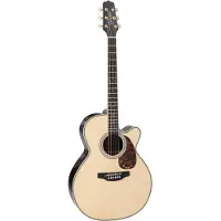Takamine RNV460C guitare électro-acoustique folk avec étui softcase