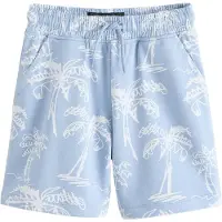 Next Pantalon bleu clair / blanc