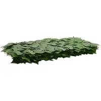 vidaXL Brise-vue pour balcon avec motif de feuilles, vert, 500 x 75 cm