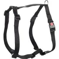 Flamingo Harnais Pour Chien Ziggi H