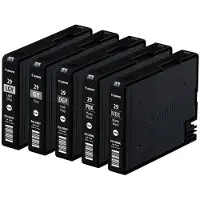Canon Cartouche d'encre PGI-29 multipack MBK/PBK/DGY/GY/LGY (d'origine)