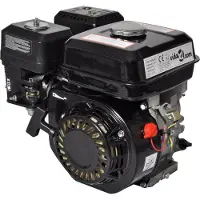 Shumee Moteur à essence 6,5 CV 4,8 kW, noir