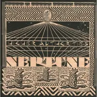 Domino Records Neptune