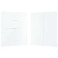 vidaXL Tente de réception - Panneaux latéraux (2 pièces) - Blanc - 200 x 195 cm - PE et acier