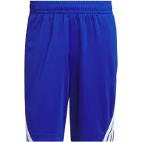 Adidas Pantalon de sport 'Legends' bleu cobalt / blanc cassé