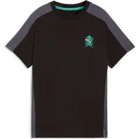Puma T-Shirt fonctionnel turquoise / anthracite / noir