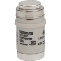 Mersen NEOZED insert fusible D03, 80A argent - Fusible non irradié D03 80A D03GG40V80