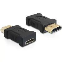 DeLOCK Fiche de conversion HDMI Mini vers HDMI - Goobay