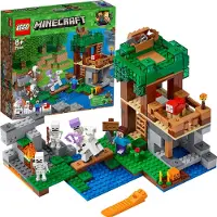 LEGO Minecraft - L'attaque des squelettes - 21146