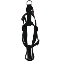 Martin Dog Schaden Basic Nylon Black