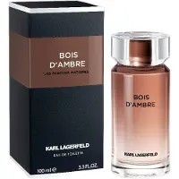 Karl Lagerfeld Bois d'Ambre EDT 100 ml M