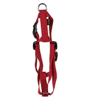 Martin Harnais Pour Chien Réglable Nylon Uni S 16x35/50 Cm Mixte Rouge