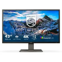 Philips P Line 439P1/00 LED display 108 cm (42.5") 3840 x 2160 pixels 4K Ultra HD Noir