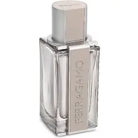 Salvatore Ferragamo Ferragamo Bright Leather EDT 50 ml M