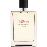 Hermès Paris Terre d’Hermès Eau de Parfum Intense eau de parfum intense pour homme 175 ml