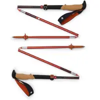 Black Diamond - Bâtons de randonnée/trail - Pursuit Carbon FLZ Trek Octane - Taille 135 cm - Noir