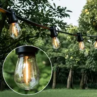 LumenXL Kit de guirlande avec lampes à filament en verre clair de 2 watts : variateur en option