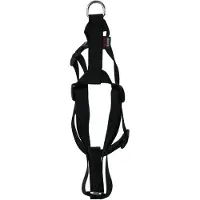 Martin Harnais pour chien Basic Nylon Black