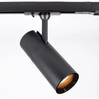 LumenXL Spot sur rail monophasé Liam - noir avec bord argenté