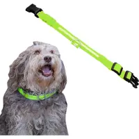 Dutchwide Collier lumineux pour chien - extra fort - collier à clic - réglable - réfléchissant - taille L - vert