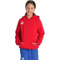 Arena Sweatshirt à capuche enfant Team Panel