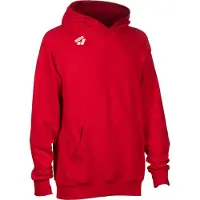 Arena Sweatshirt à capuche Team Panel