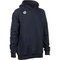 Arena Sweatshirt à capuche Team Panel