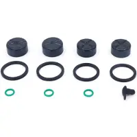 Sram Maven Piston Kit Argenté